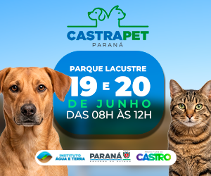 CARAMBEÃ_ NEWS - CASTRAPET - 300x250px