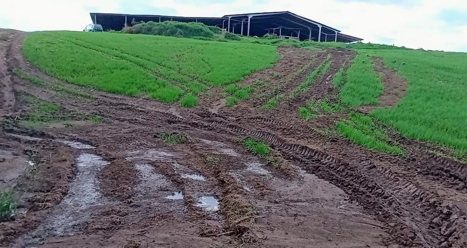 Infrator é autuado por crime ambiental na região&nbsp;
