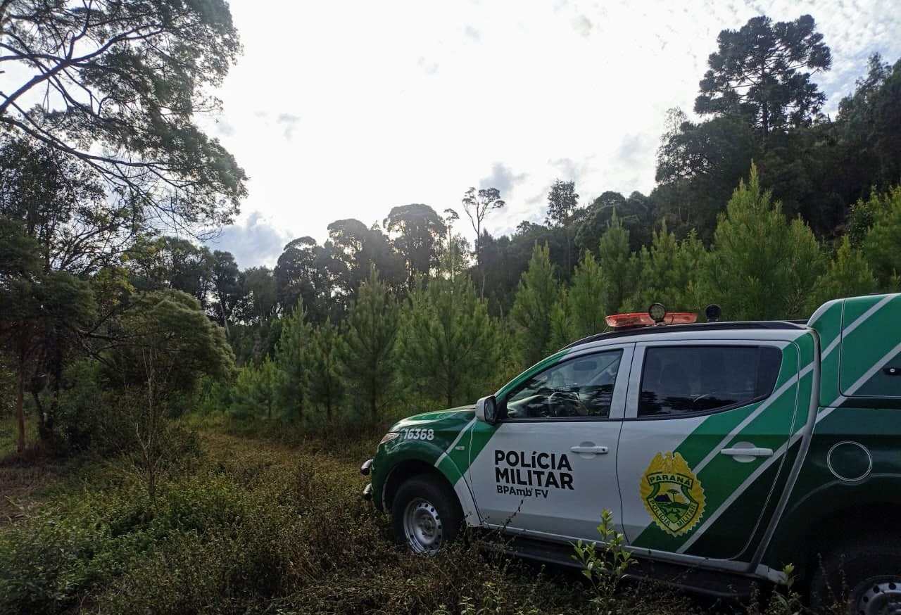 Proprietários rurais são autuados por danos ambientais na região