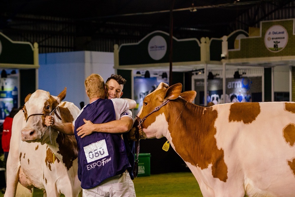 ExpoFrísia 2025 valoriza excelência do gado holandês dos Campos Gerais