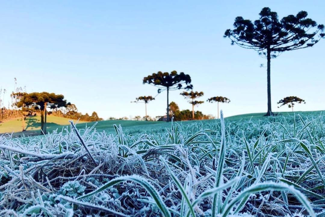 IDR-Paraná e Simepar iniciam serviço Alerta Geada na segunda-feira