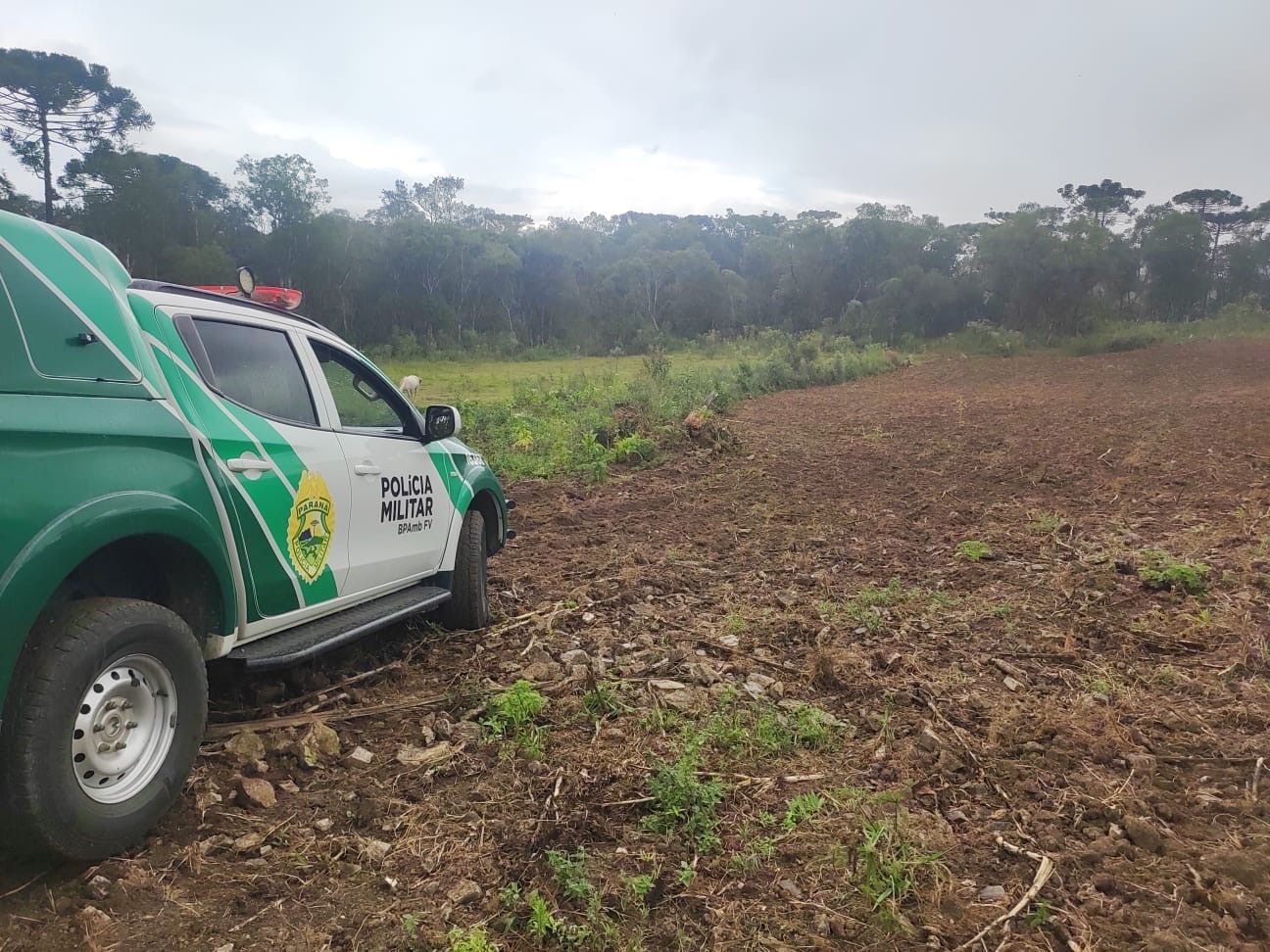 Polícia Ambiental autua desmatamento ilegal para plantio em área rural na região