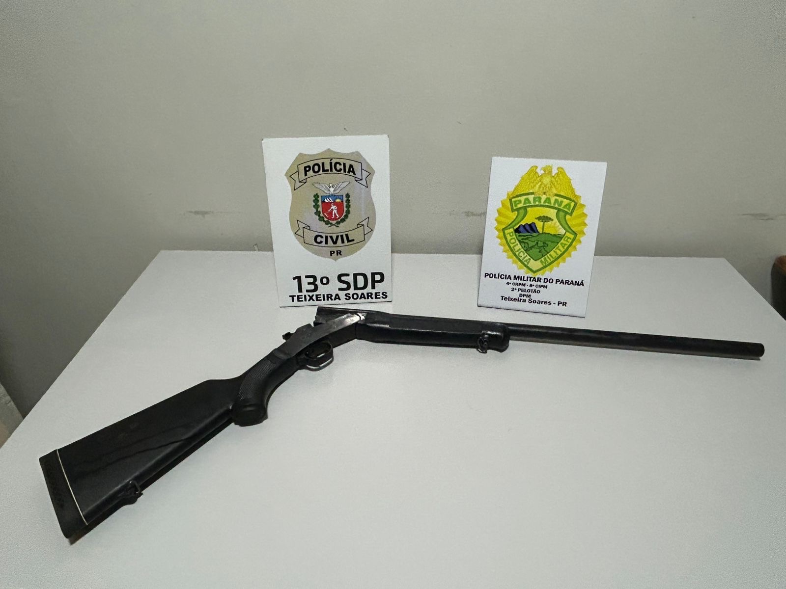 Polícia identifica suspeitos de maus-tratos contra gato na região