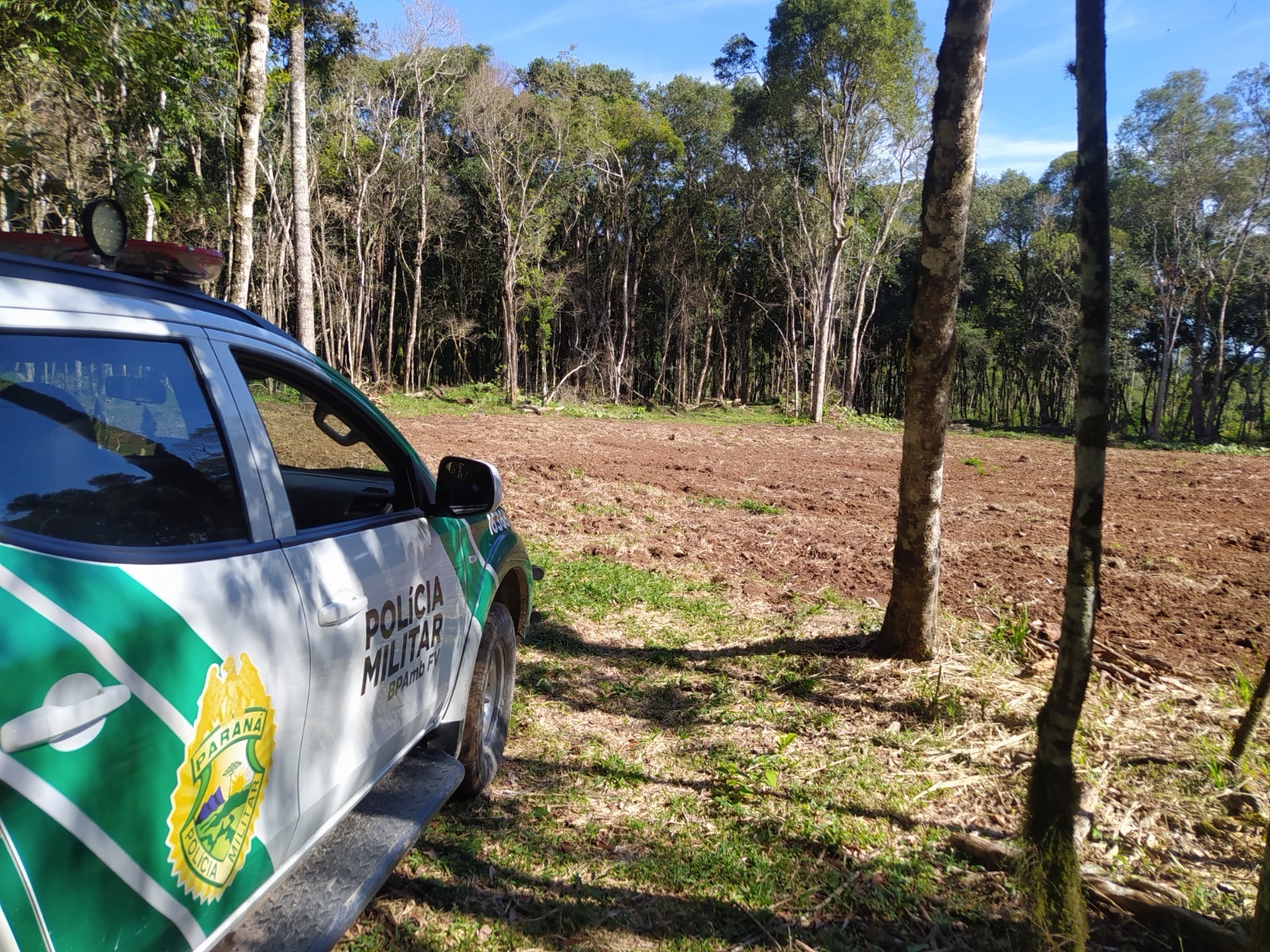 Polícia Ambiental autua proprietário por desmatamento irregular de floresta nativa na região