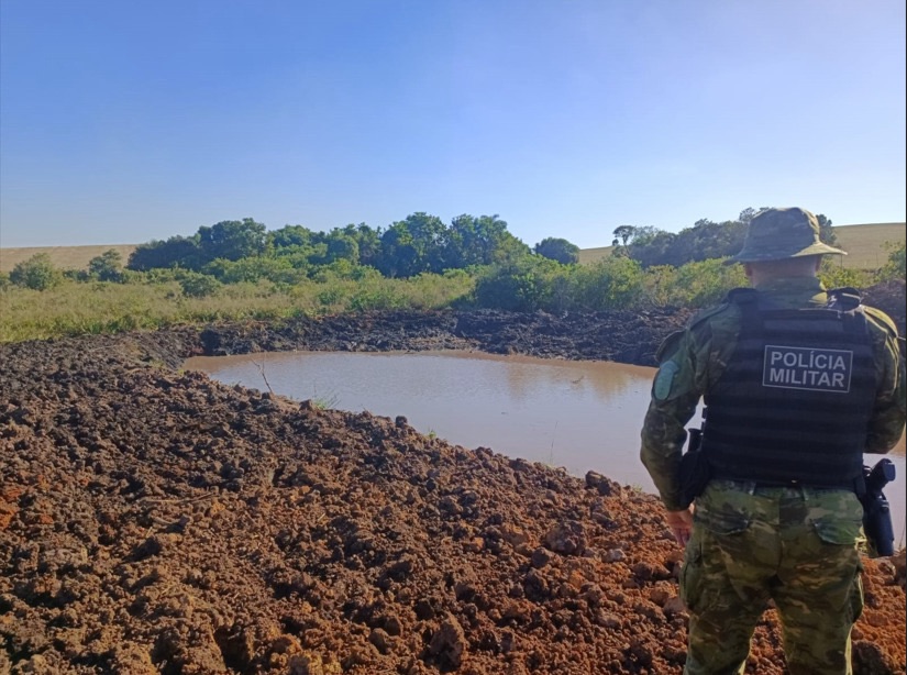 Desmatamento em área de banhado gera autuação ambiental na região
