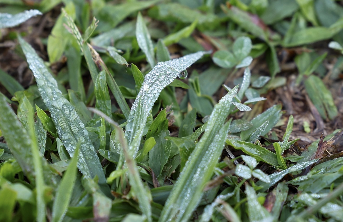 Carambeí bate recorde de frio neste início de semana