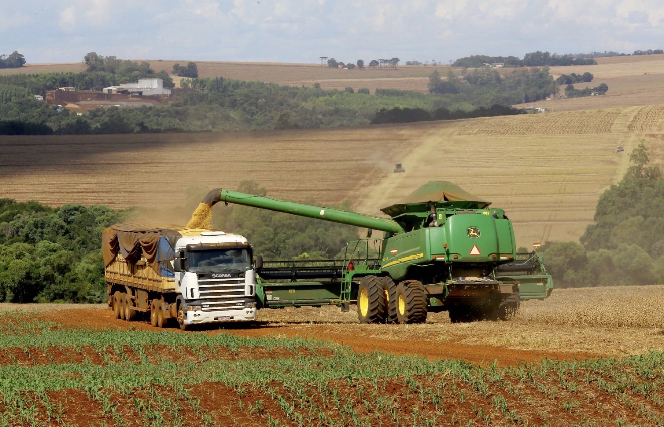 Soja e milho impulsionam Paraná com estimativa de 39,1 milhões de toneladas