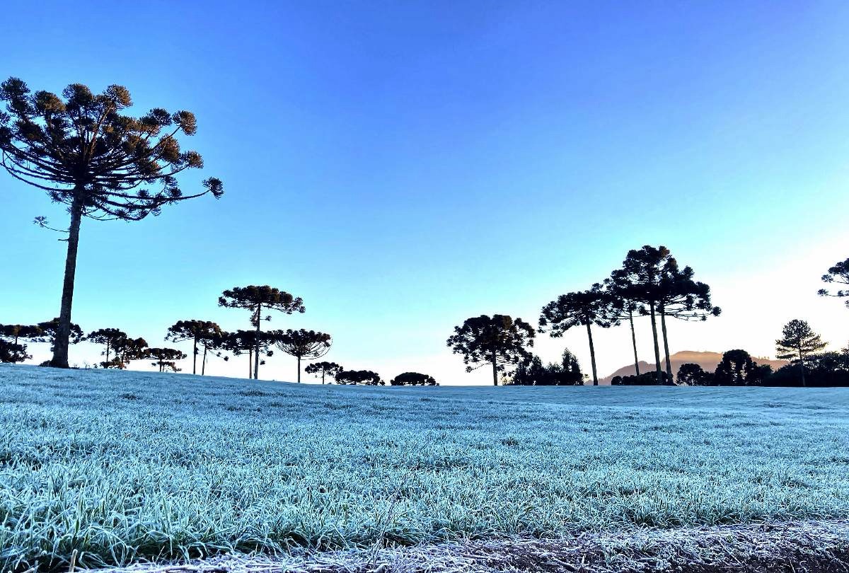 Onda de frio derruba temperaturas e Paraná pode registrar 2°C