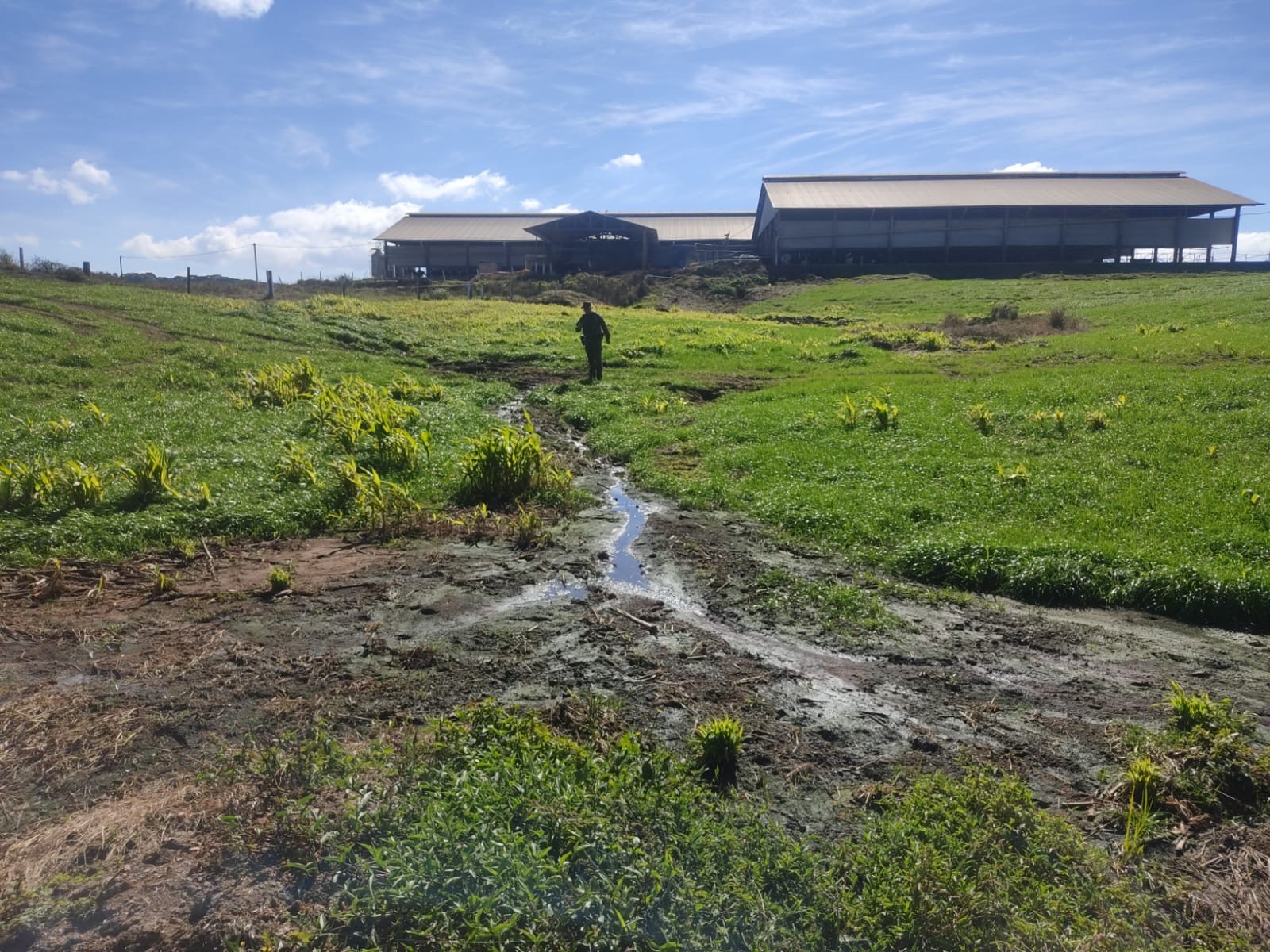 Polícia Ambiental aplica R$ 25 mil em multas por descarte irregular de efluentes em Carambeí