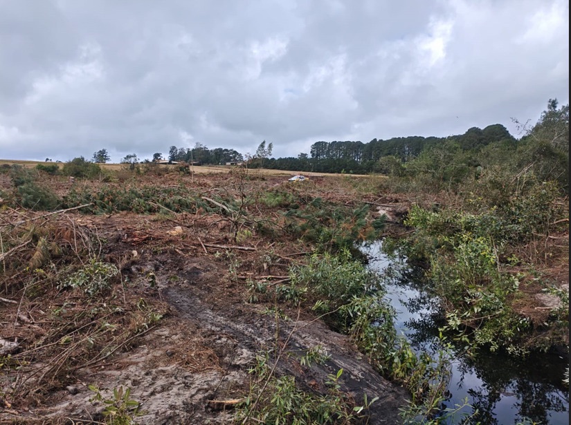 Polícia Ambiental aplica multa de R$ 260 mil por dano ambiental na região