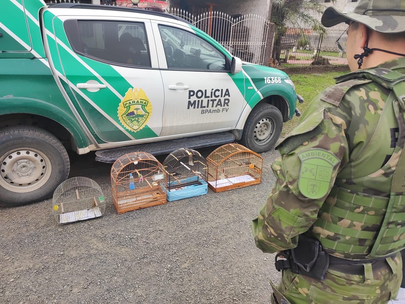 Polícia Ambiental apreende 36 aves mantidas irregularmente em cativeiro na região