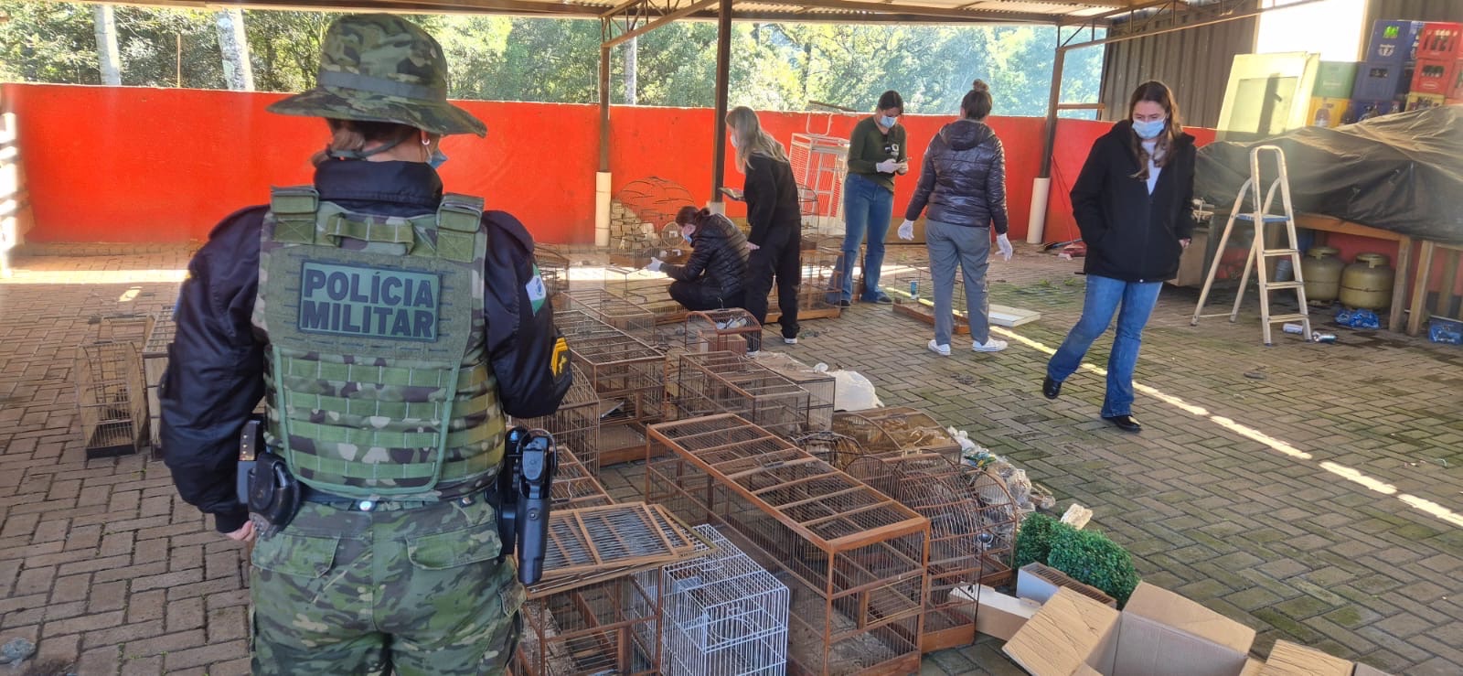Polícia Ambiental e IAT resgatam aves silvestres vítimas de maus-tratos
