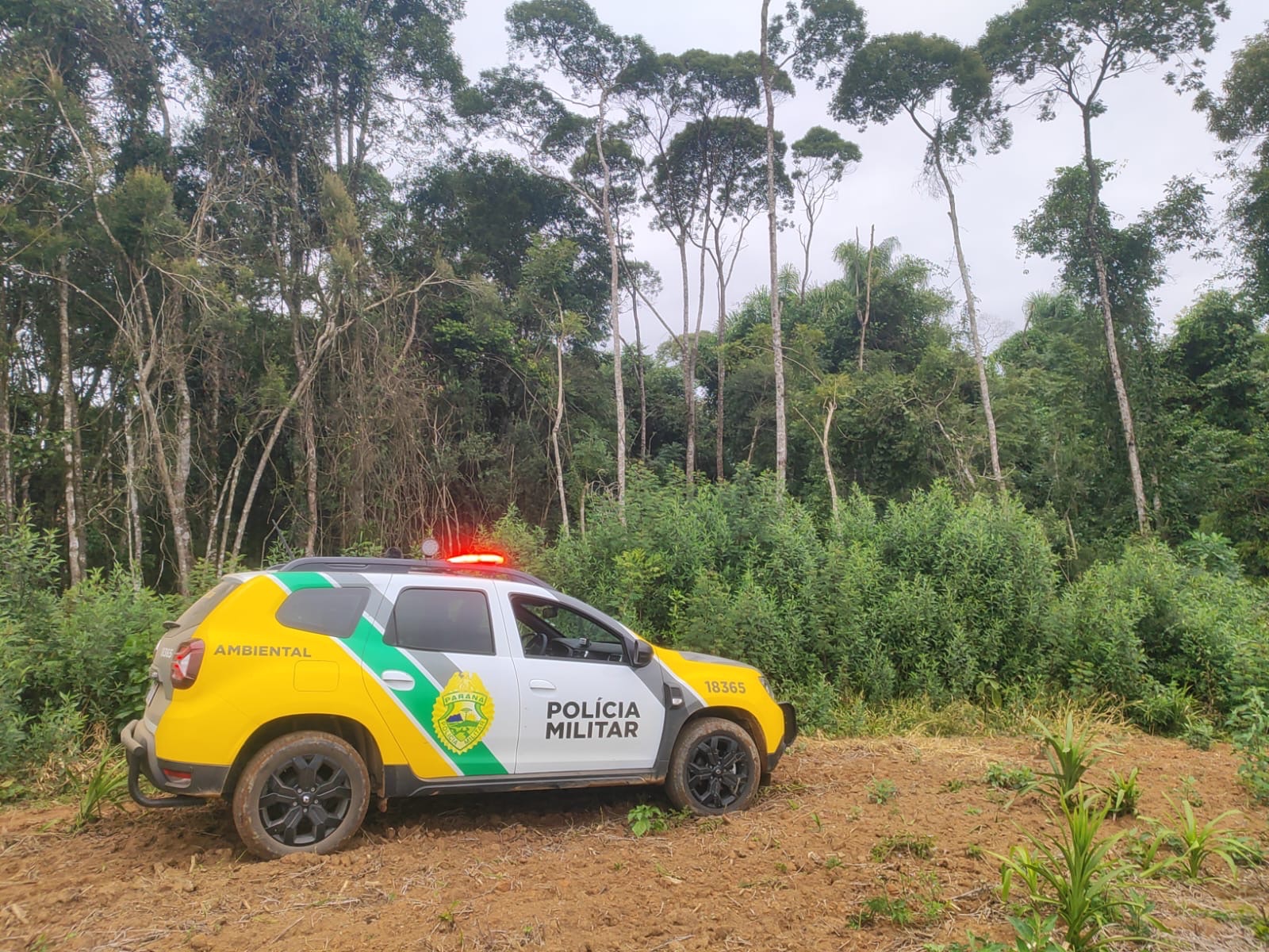 &nbsp;Denúncia leva à descoberta de área desmatada e multa de R$ 14 mil na região