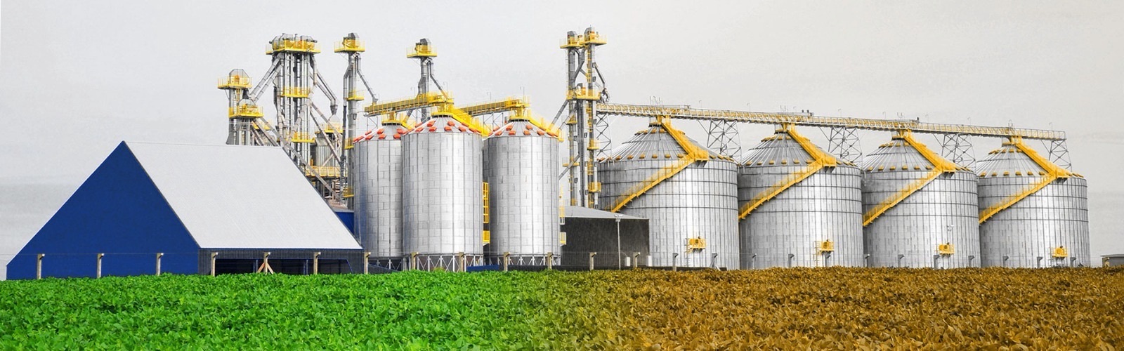 Carambeí sedia a IX Conferência Brasileira de Pós-Colheita em agosto de 2026