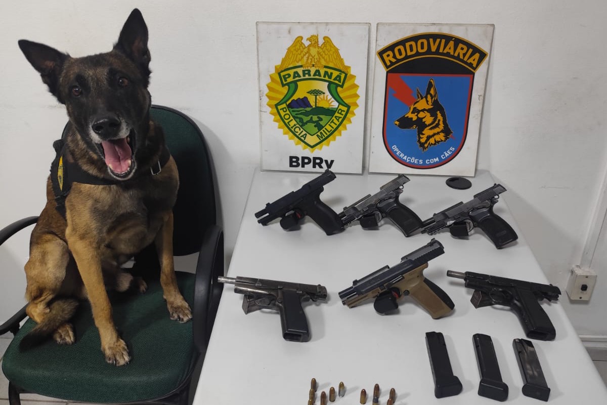 PMPR apreende seis pistolas em ônibus em operação de combate ao tráfico de armas na PR-151