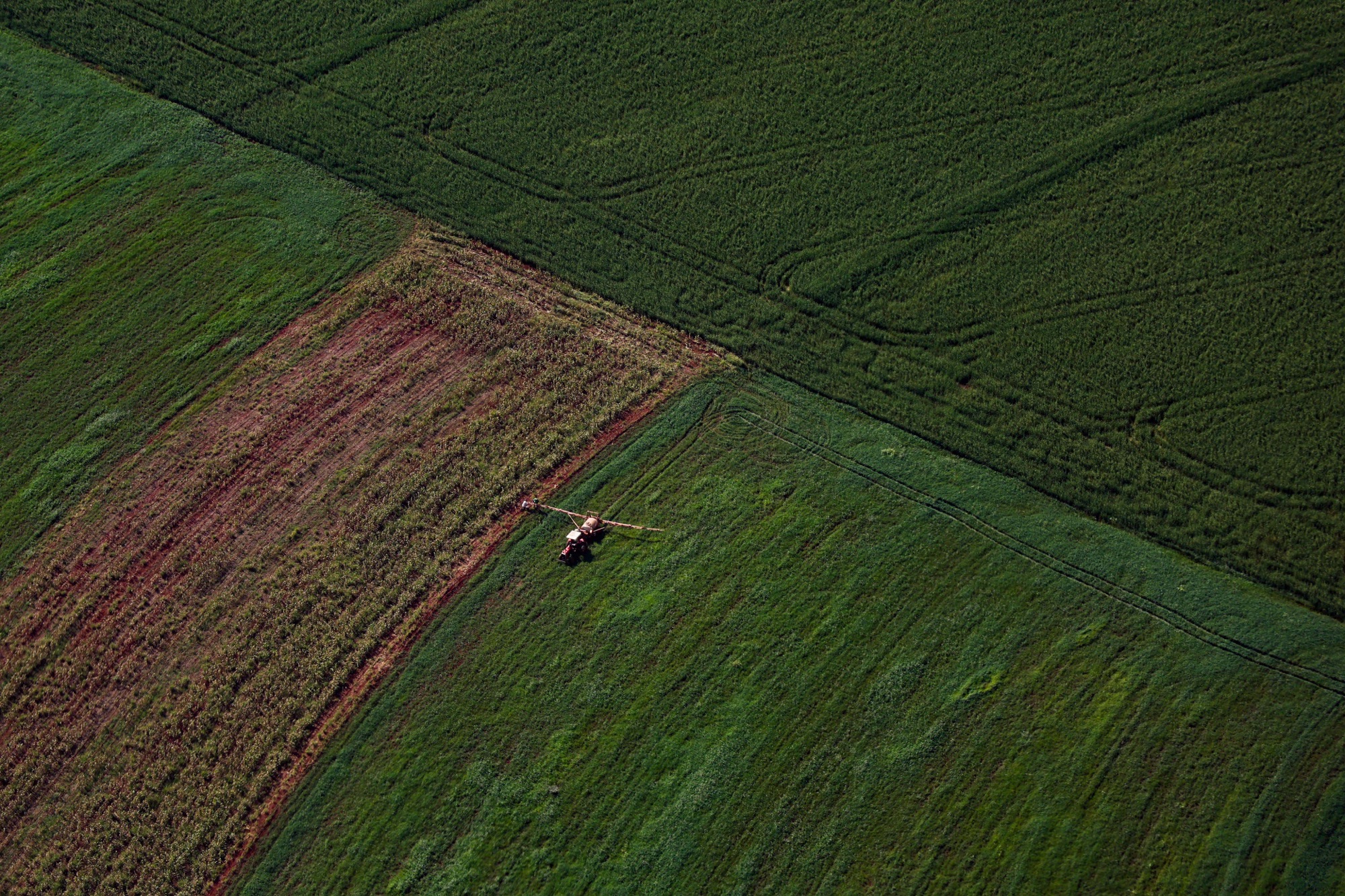 VBP Agropecuário do Paraná cresce 13% e alcança R$ 212,6 bilhões em 2025