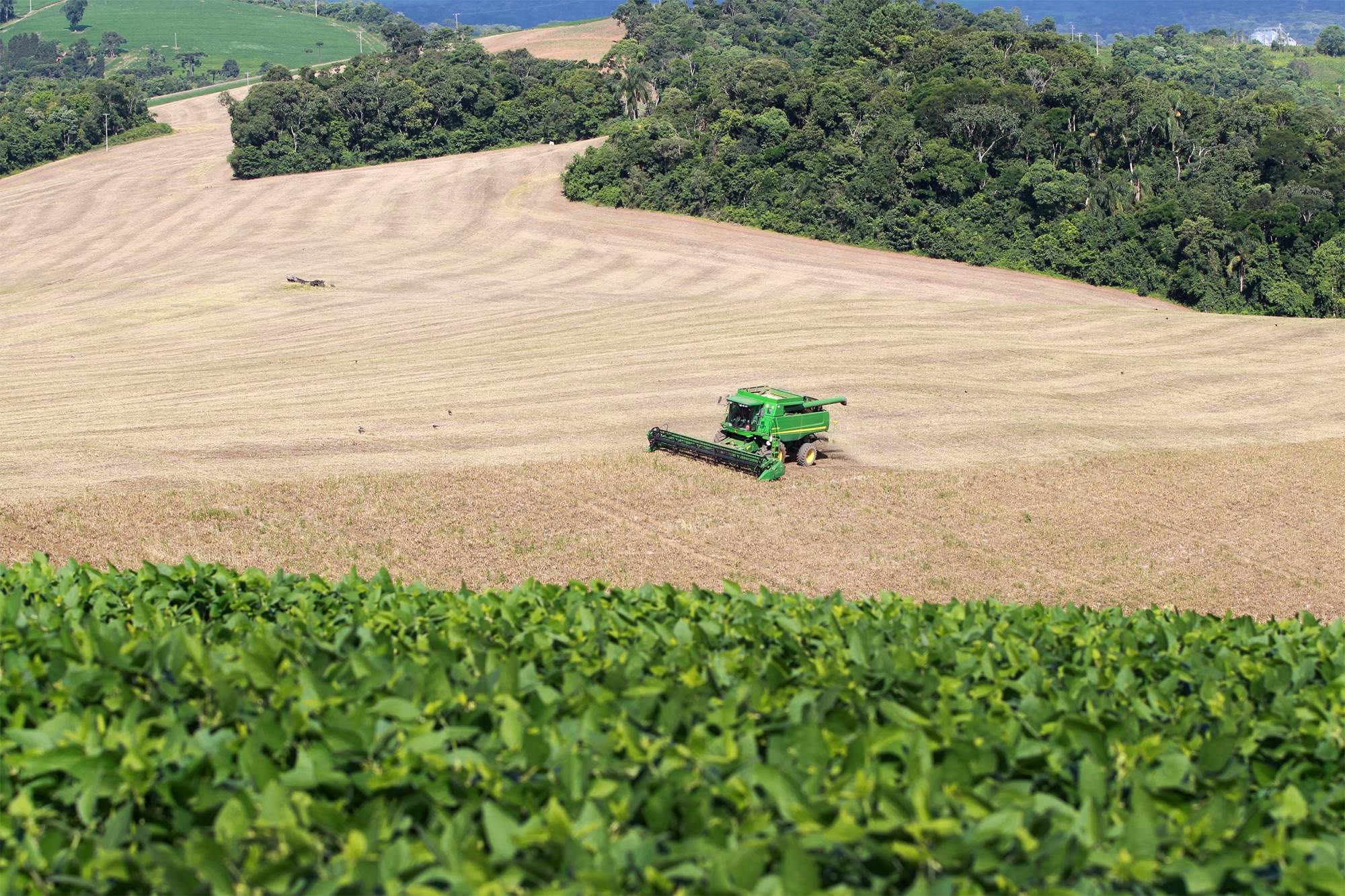Campo mais forte: Valor Bruto de Produção da agropecuária do Paraná dobra em seis anos