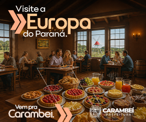 12A 0016 26 CAMPANHA DE INVERNO WEB BANNER 300X250