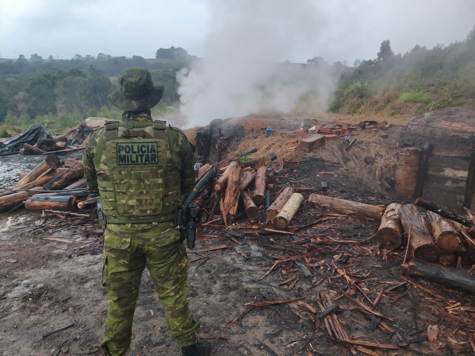 Polícia Ambiental embarga fornos de carvão irregulares e apreende aves silvestres no PR
