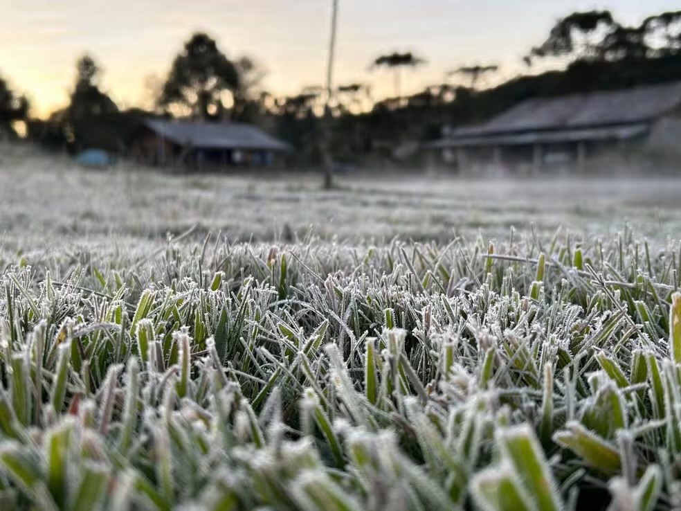 Geada marca o amanhecer em Carambeí