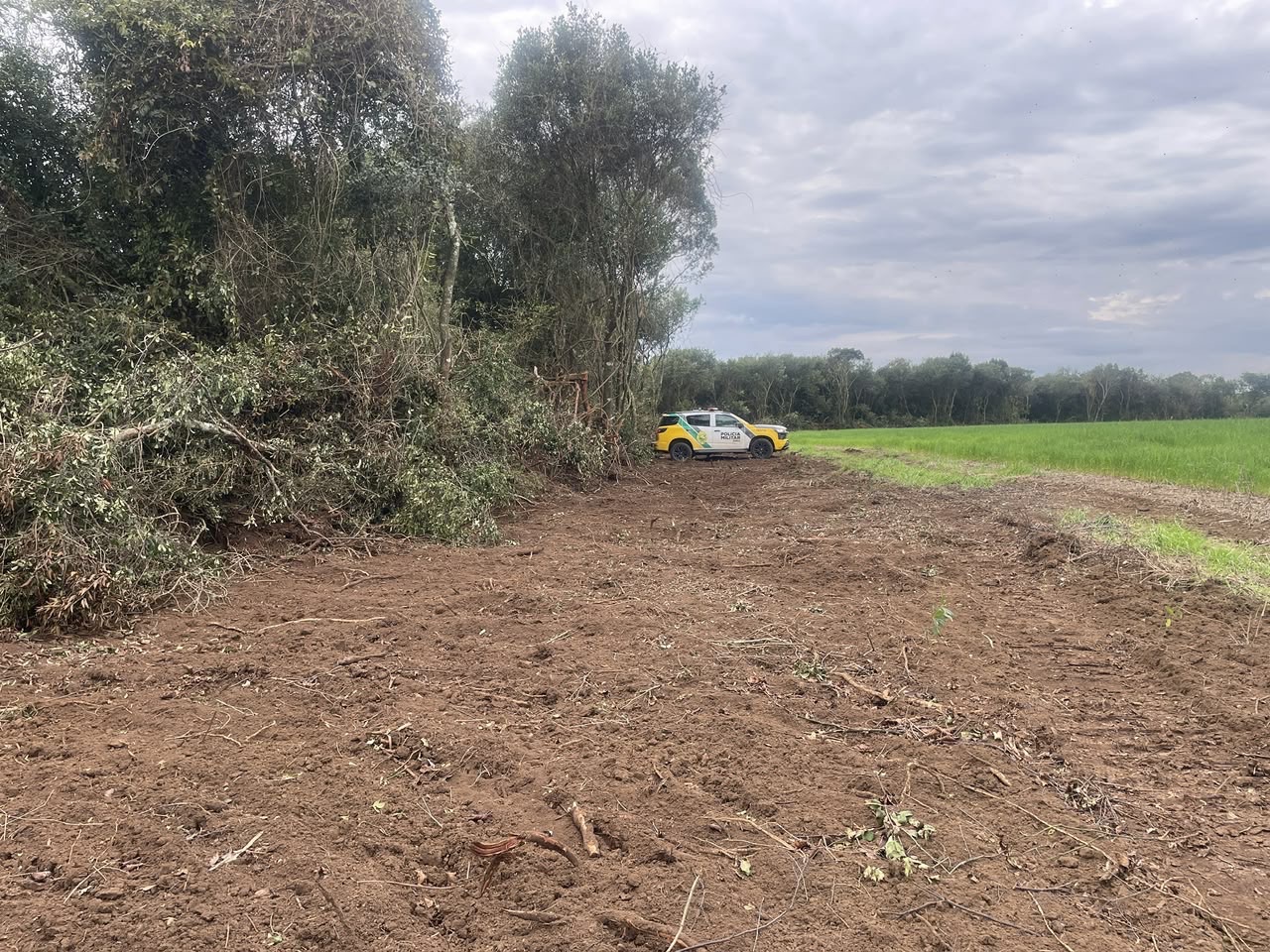 Polícia Ambiental identifica desmatamento irregular em área rural na região
