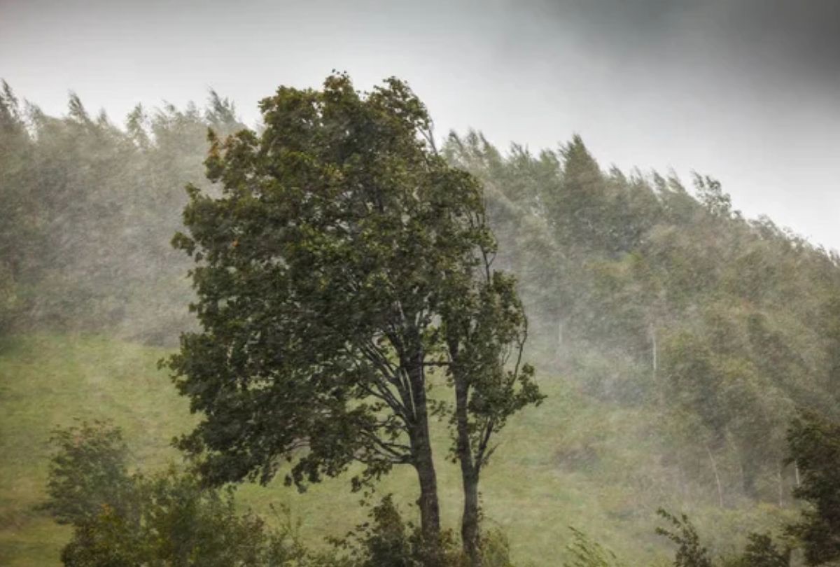 Sete estados entram em alerta de vendaval nesta terça (11)
