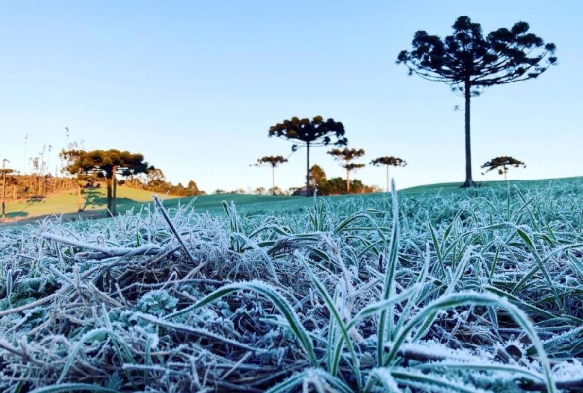 Feriadão terá frio intenso no Paraná com mínima de 0°C