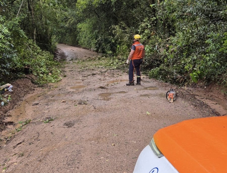 Temporal com vento forte e trovoadas assusta moradores em Carambeí