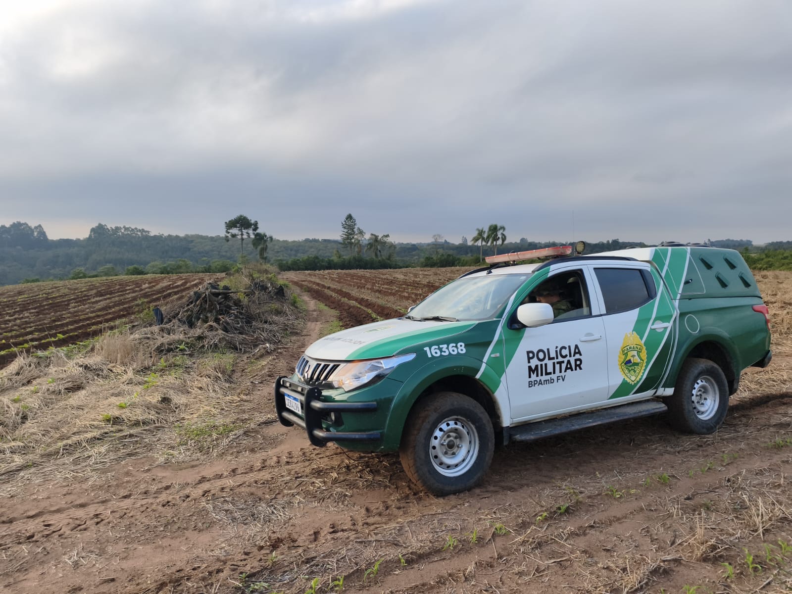 Proprietário rural é multado em R$ 84 mil por supressão de vegetação nativa no PR