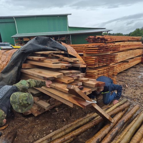 Polícia Ambiental apreende madeira irregular e aplica R$ 64,8 mil em multas