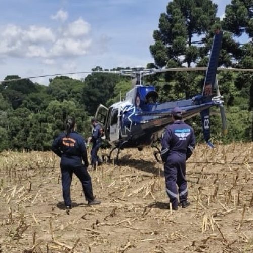 Homem sofre ataque de abelhas e morre no interior de Carambeí