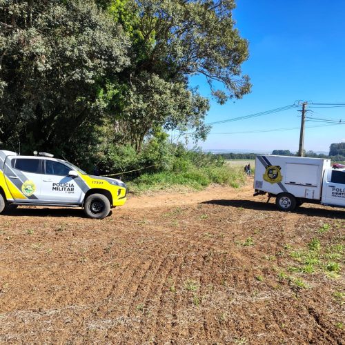 &nbsp;Corpo é localizado em área de vegetação na região