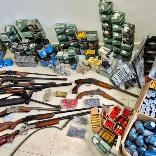 Polícia apreende armas, munições e agrotóxicos em operação na região