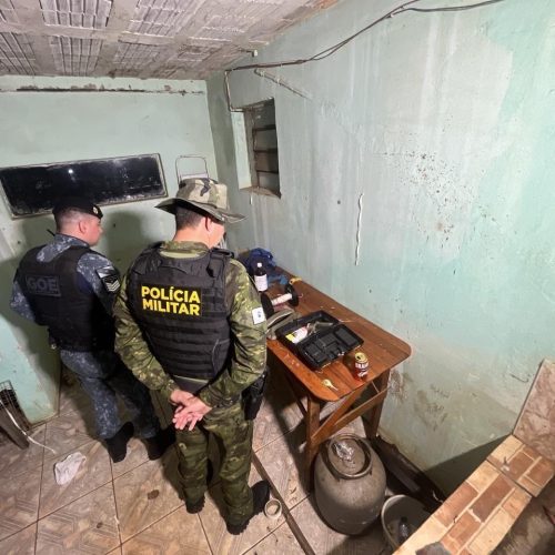 Polícia Ambiental desmantela rinhas de galos na região e aplica R$ 245 mil em multas