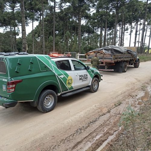 Polícia Ambiental flagra transporte irregular de madeira e corte ilegal de araucárias&nbsp;na região