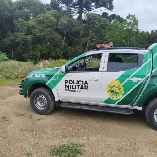 Polícia Ambiental constata dano em área de preservação permanente na região