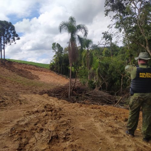 Polícia Ambiental aplica R$ 17 mil em multas por crime ambiental na região