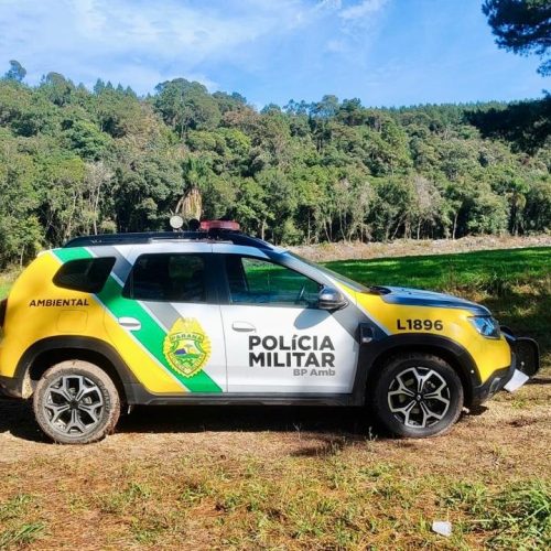 Polícia ambiental constata desmatamento e dano em área protegida no PR