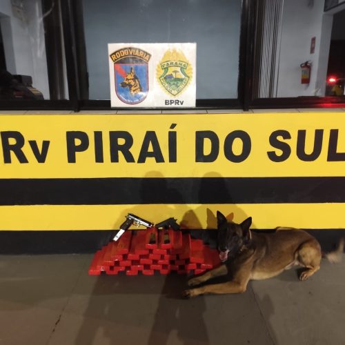 Jovem é presa com mais de 20 kg de maconha e duas pistolas durante fiscalização na PR-151