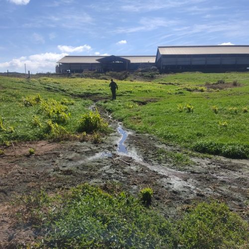 Polícia Ambiental aplica R$ 25 mil em multas por descarte irregular de efluentes em Carambeí