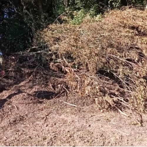 Polícia Ambiental flagra destruição de vegetação nativa em propriedade rural na região