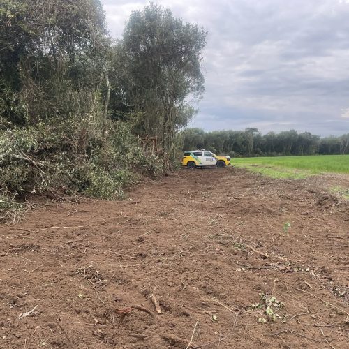 Polícia Ambiental identifica desmatamento irregular em área rural na região