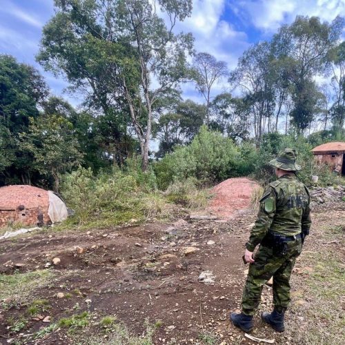 Fiscalização revela desmatamento e fornos de carvão ilegais