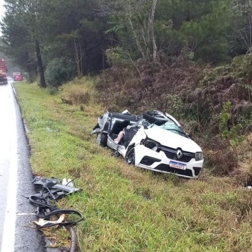 Condutor perde controle e colide contra árvore na&nbsp;região