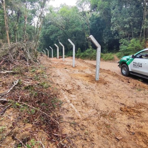 Polícia Ambiental flagra dano em floresta nativa e aplica multa de R$ 17 mil&nbsp;na região