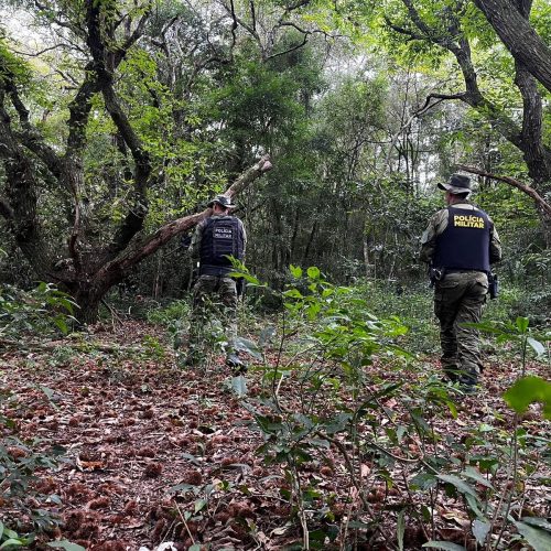 Caça ilegal em área de proteção termina com três presos na região