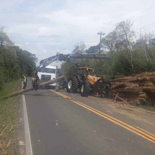 Caminhão carregado com toras de madeira tomba&nbsp;na região
