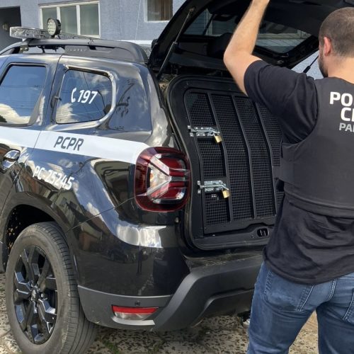 Polícia Civil prende jovem em flagrante por induzimento ao suicídio na região