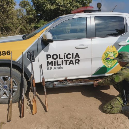 Três homens são presos por porte ilegal de armas durante ação ambiental