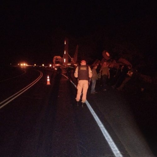 Caminhão carregado com trator colide contra árvore na região